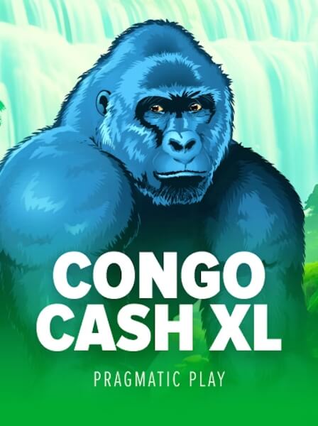 Maximize Your Winnings with CasinoElite’s Loyalty Program